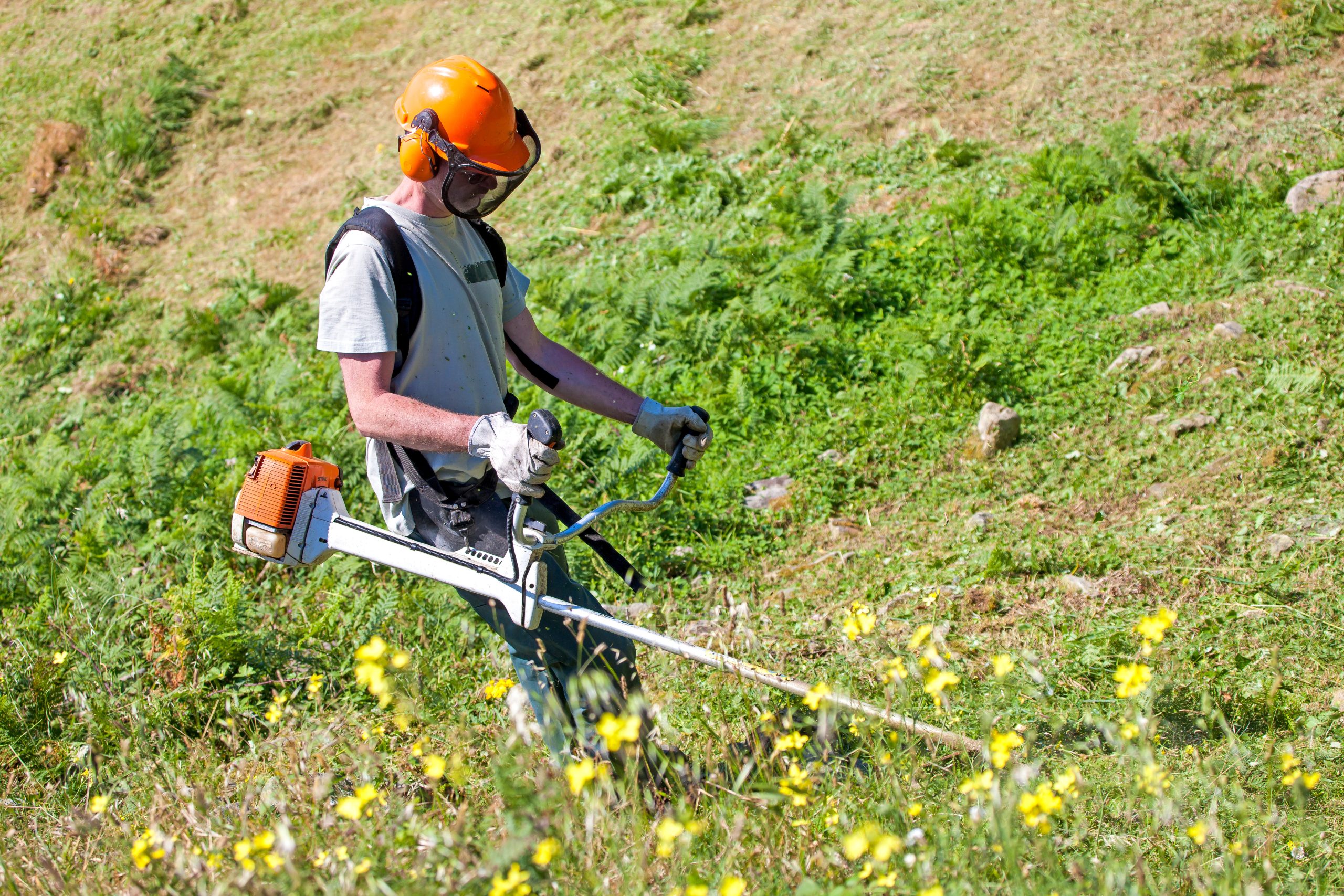 Un homme effectuant un débroussaillage